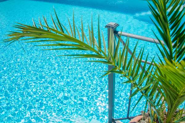 Umbrellas, chairs and sun loungers